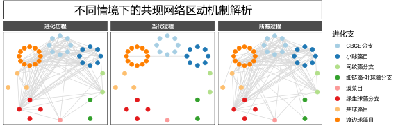 水生所在生物多样性成因研究领域取得重要进展