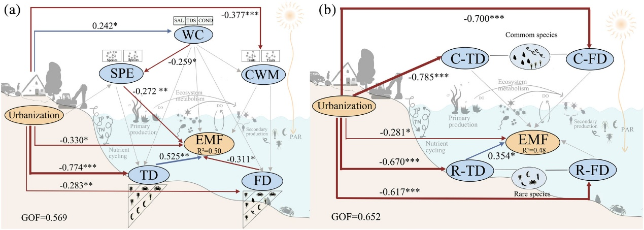 水生所揭示人为干扰如何加剧河流生态“随机性”并导致“功能退化”