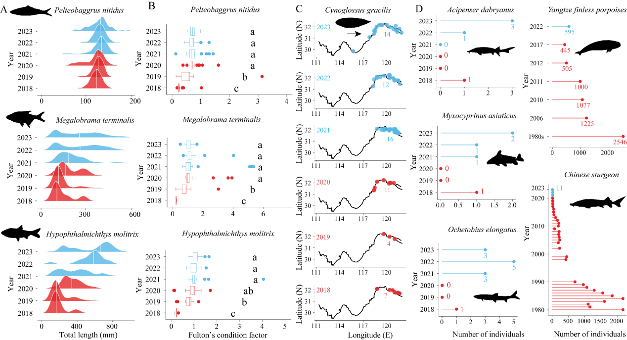 水生所研究揭示长江“十年禁渔”促进生物多样性恢复的生态机制